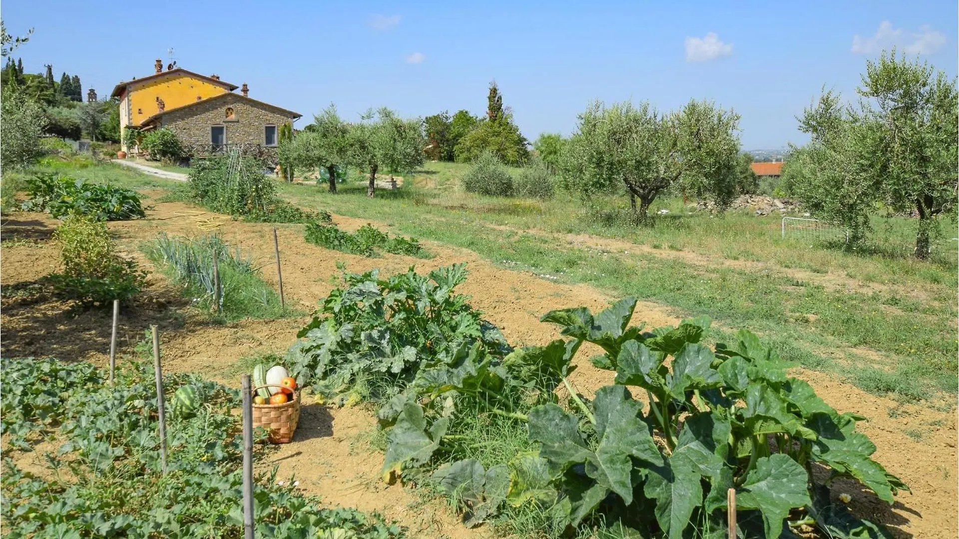 Pet Friendly Home In Cortona With Wifi Holiday home